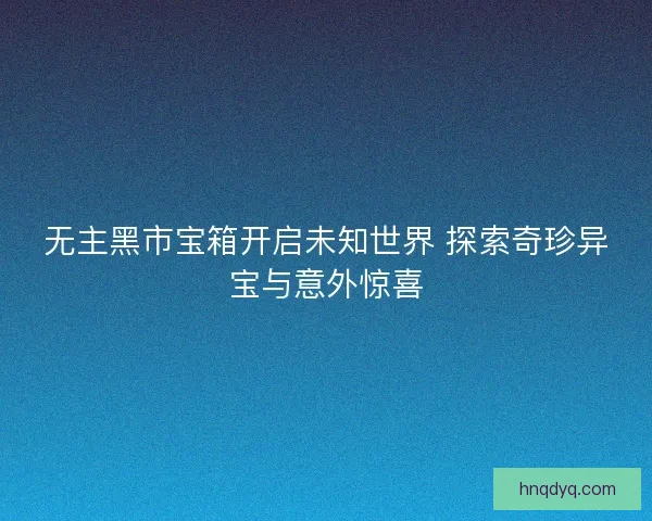 无主黑市宝箱开启未知世界 探索奇珍异宝与意外惊喜